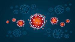Coronavirus informations